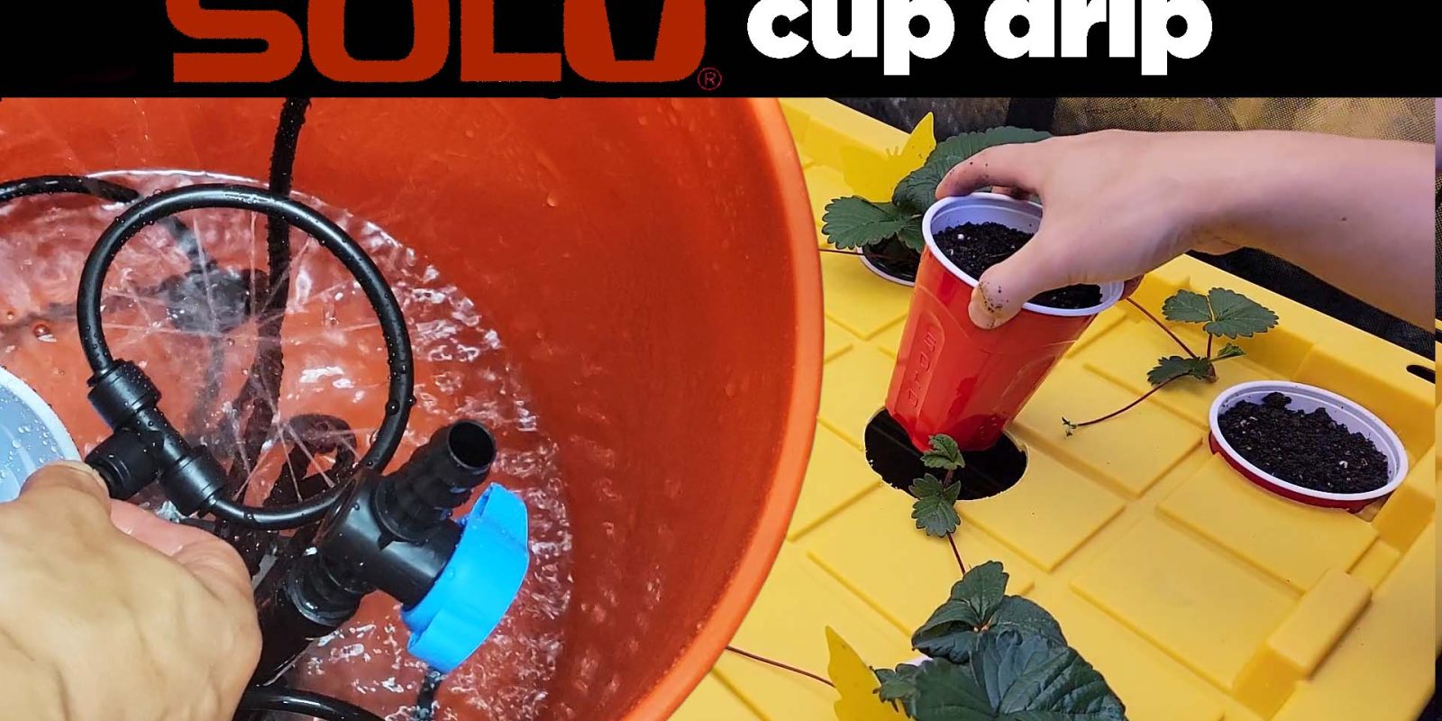 Side Drip Using Sulo Set DIY Solo Cup Automated Drip Feed Grow Tub